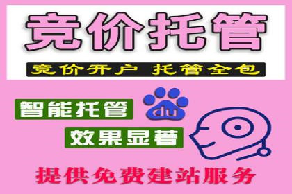 提升广告ROI：SEM竞价优化的实战案例