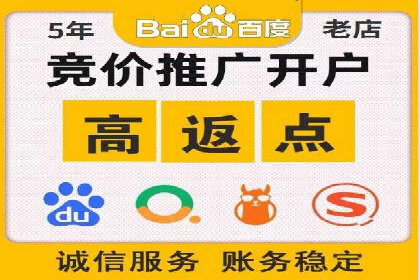 成功案例解析：SEM竞价员策略